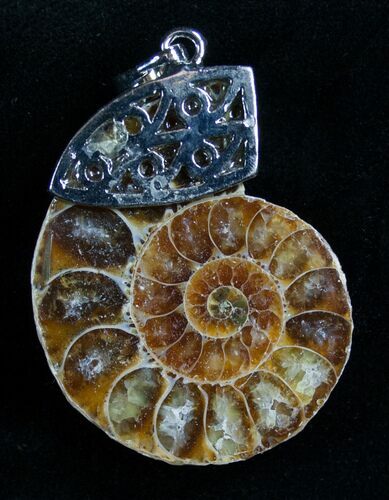 Ammonite Fossil Pendant #7079